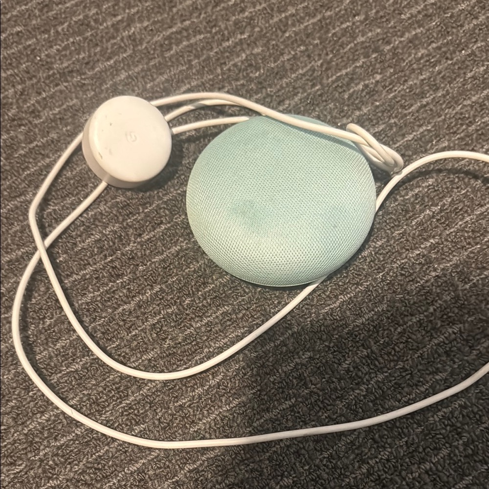 Teal Next Mini Google Portable Speaker with Minimalist Design